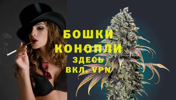 крисы Беломорск