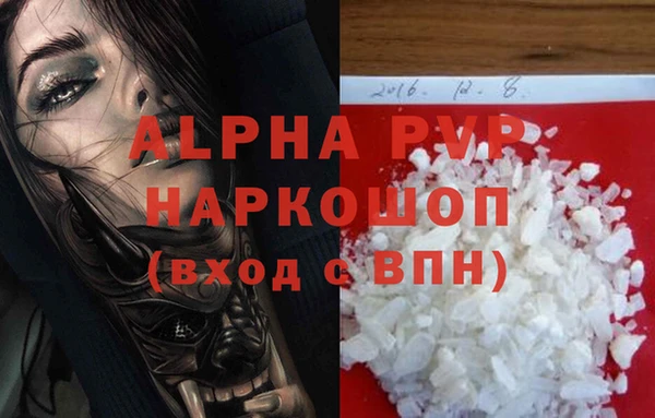 спиды Белокуриха