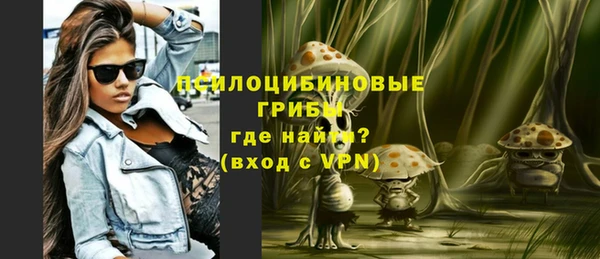 спиды Белокуриха