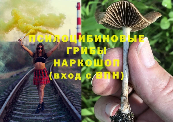 ECSTASY Белоозёрский